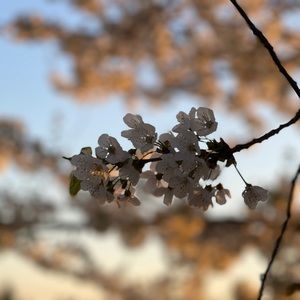 Meet your Posher, Ernest